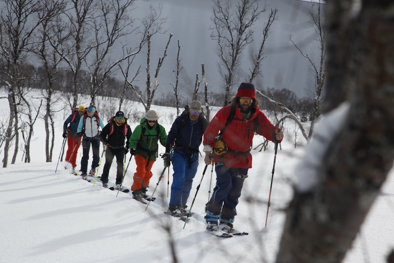 Lyngen northern Norway splitboarding 